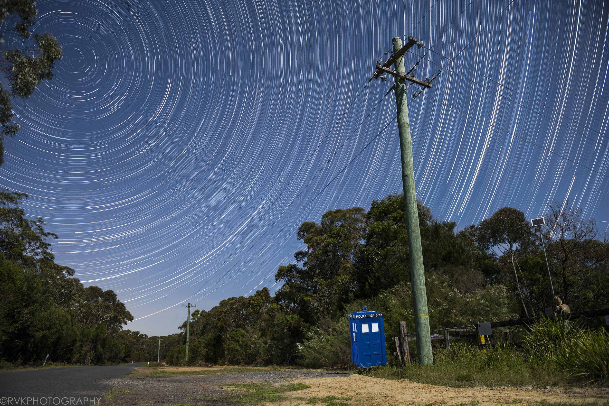 The night sky is filled with the swirls of star trails, and the foreground has a bright blue TARDIS police box with some possums sitting on the fence